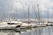 Yachts à Cannes