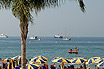 Palm Sur La Plage De Cannes Riviera Française