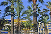 Palms Et Appartements à Cannes